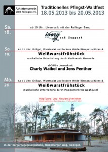 Pfingstwaldfest 2013